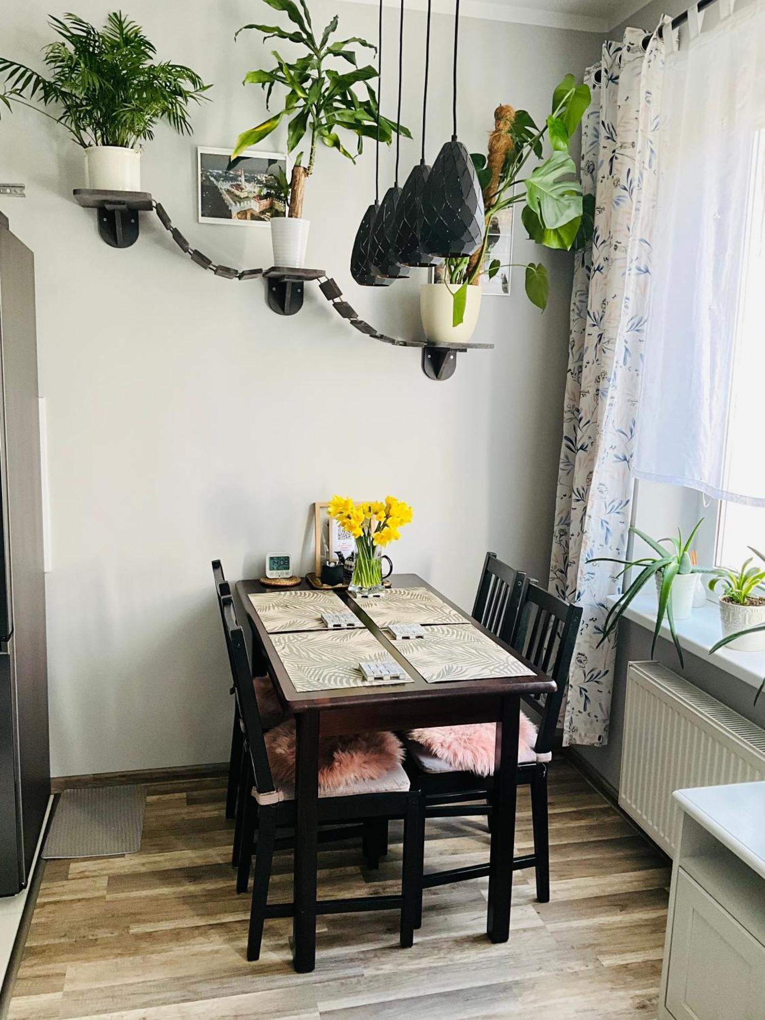 Apartament na Starym Mieście Boleslawiec  Zewnętrze zdjęcie